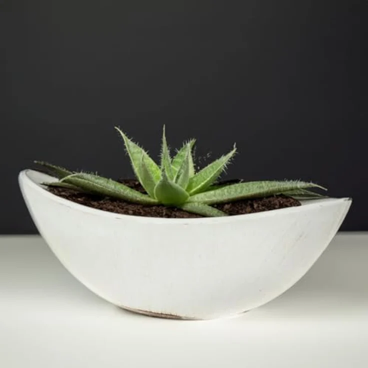 matches21 HOME & HOBBY Ovale Pflanzschale für draußen - große Schiff Deko-Schale in Vintage Creme-weiß als Blumen-Topf Pflanztopf - 55 cm Jardiniere für Garten Balkon oder Friedhof als Grab-Schmuck – Bild 3