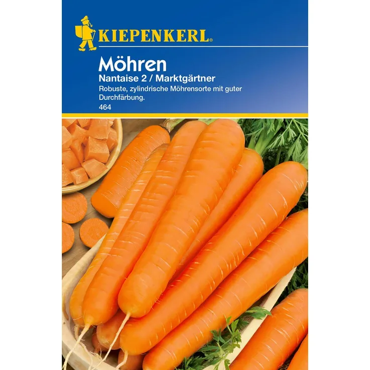 Möhren Nantaise 2 / Marktgärtner
