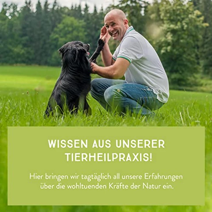 AniCanis Augentrost für Hunde - Augentrostpulver Futterkraut für Augen & Bindehaut - Futterzusatz Nahrungsergänzung vom Tierheilpraktiker - 100g – Bild 5