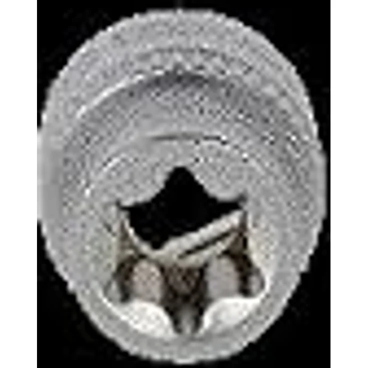 Brilliant Tools BT021836, Bit- und Steckschlüsselset 3/8" Torx-E Stecknuss E11, Chrom-Vanadium-Stahl, matt verchromt, 28 mm Länge – Bild 8