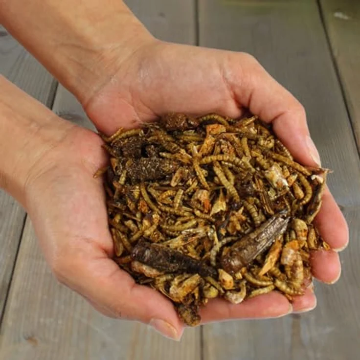 Lyra Pet® Protein Boost Insekten Mix, 1 kg getrocknete Insektenmischung mit 54,7 % Rohprotein, ideal für Vögel, Nager, Fische & Reptilien – Bild 5