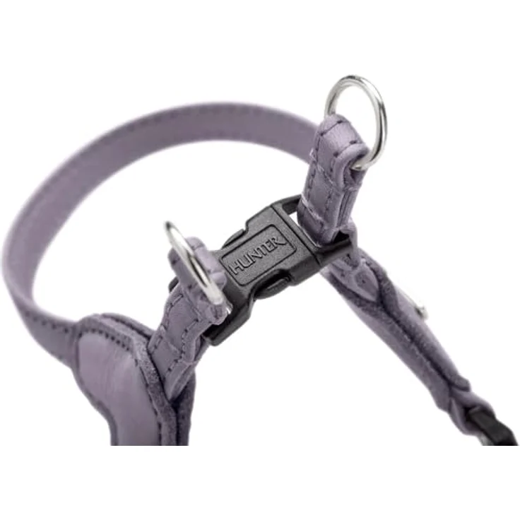HUNTER Hundegeschirr SOHO MINI, flieder-grau, aus weichem Rindsleder, fellschonend, leicht, für kleine Hunde & Welpen, Größe XS-S – Bild 3