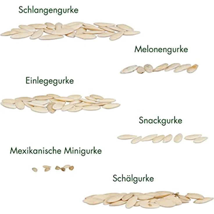 Gurken Samen Set 6 Sorten Gurken Saatgut Mit Freilandgurken Samen Einlegegurken – Bild 2