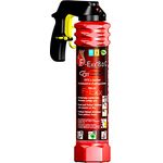 F-Exx® 8.0 C - Der Auto-Feuerlöscher mit Frostschutz