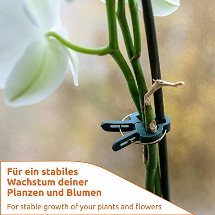 ECENCE EN 60x Pflanzenclips Pflanzenklammern für Tomaten, groß Reben, Rosen, Rankhilfe für Kletterpf – Bild 5