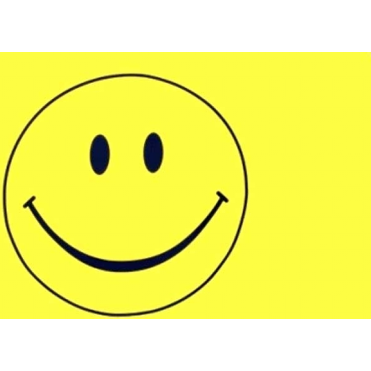 trends4cents Flagge SMILEY gelb 90 x 150 cm mit 2 Messingösen
