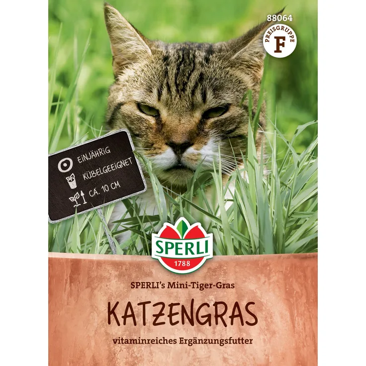 Katzengras SPERLI's Mini-Tiger-Gras regt die Verdauung an