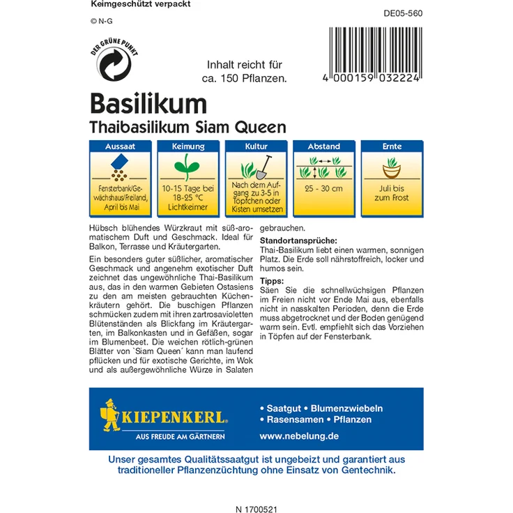 Kiepenkerl Basilikum Thaibasilikum Siam Queen, Ocimum basilicum, Inhalt: ca. 150 Pflanzen – Bild 3