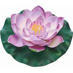 Pontec PondoLily violett Wasserblume