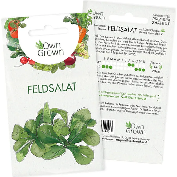 Kopfsalat Samen Salat Samen Zum Anbau Von Ca 500 Salat Pflanzen Bestes: Feldsalat