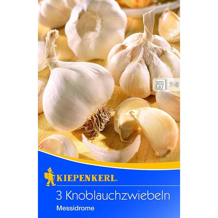 Kiepenkerl Knoblauch Messidrome, Allium sativum, Inhalt: 3 Stück