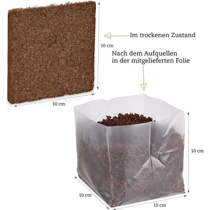 Weihnachtsbaum Samen Geschenk Set Saatgut Geschenk Set Zum Tannenbaum Pflanzen