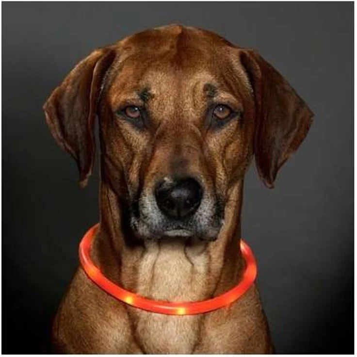 Karlie LED Schlauchhalsband, Leuchthalsband, 75 cm (kürzbar bis 20 cm), orange – Bild 3