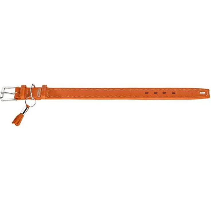 Hunter Hunde-Halsband Cannes orange L