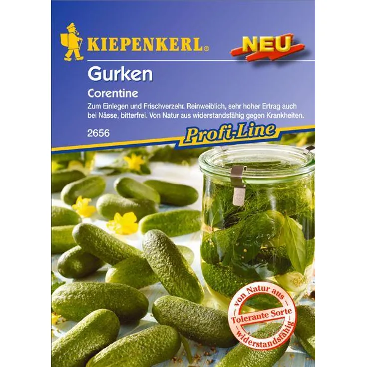 Kiepenkerl Einlegegurke Corentine, Cucumis sativus, Inhalt: 25 Korn