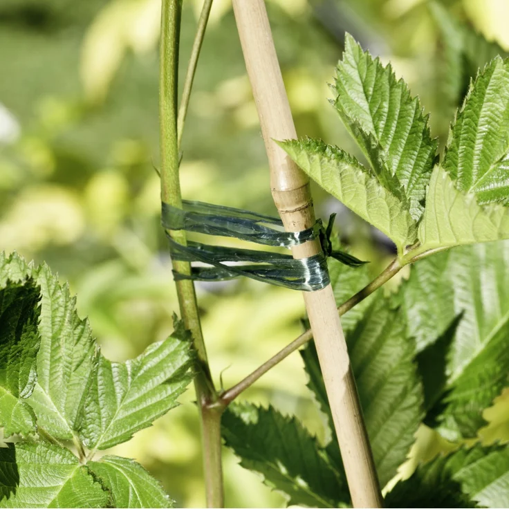 Windhager Kunstbast 400 m, grün – Bild 1