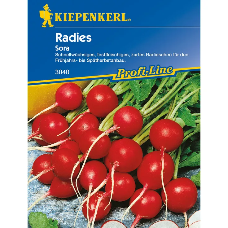 Radies / Radieschen Sora