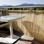 Windhager Sichtschutzmatte Mitake 180 x 300 cm