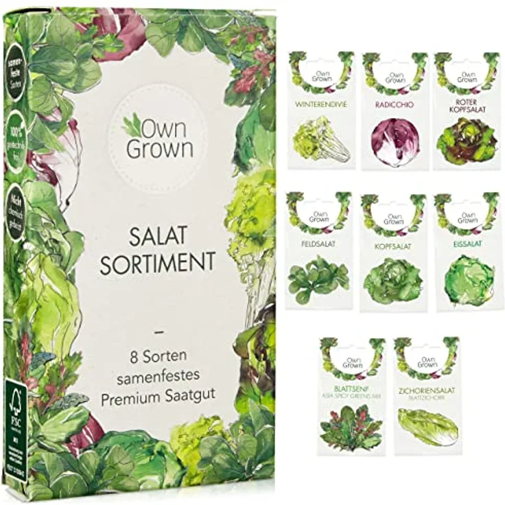 Salat Samen 8 Sorten Salat Saatgut Set Für Garten Und Balkon Kopfsalat Samen