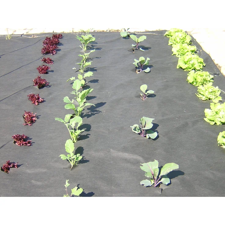 GARTENVLIES 50g-m² in 3,2m Br. (Meterware) Vlies Unkrautvlies Unkrautfolie – Bild 9