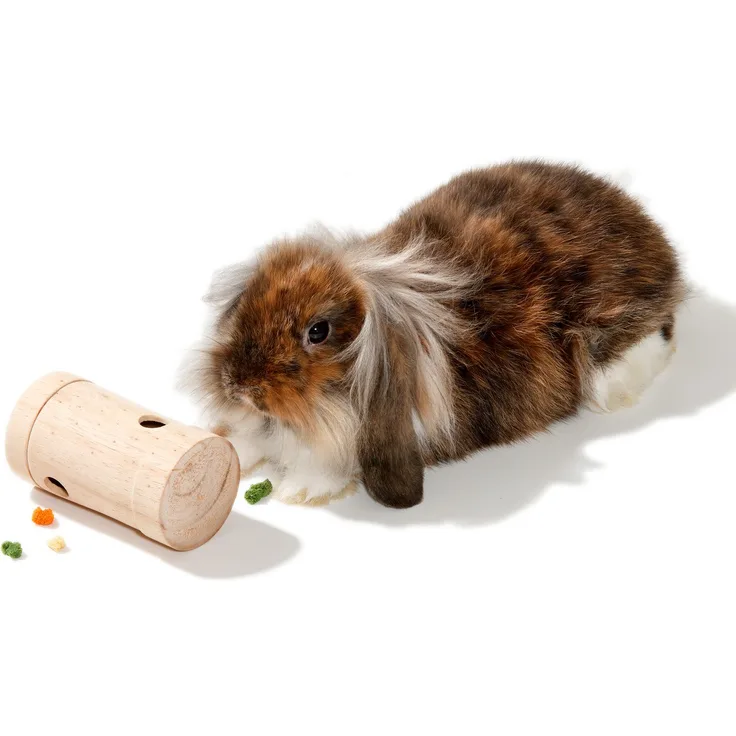 Intelligenzspielzeug für Nager 6 X 11cm, beige