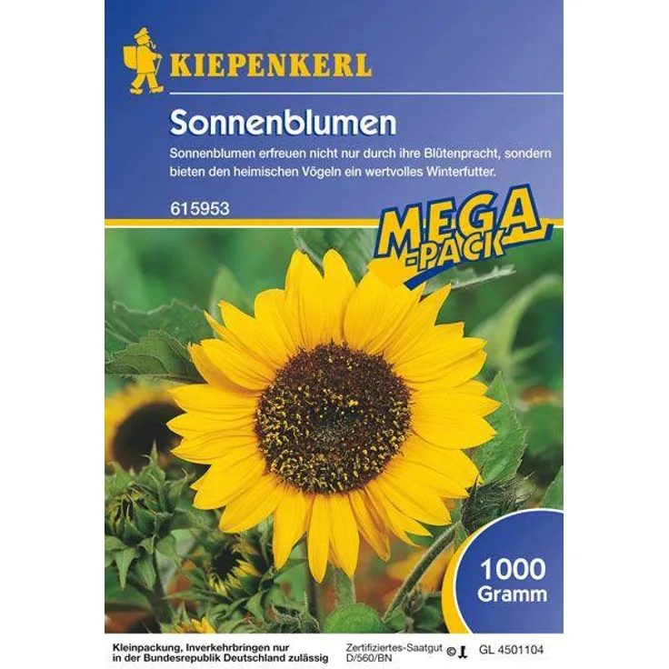 Sonnenblumen Feldsonnenblumen 1kg, bieten Blütenpracht und wertvolles Winterfutter