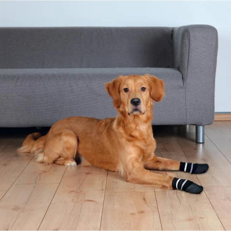 Trixie Hundesocken Anti-Rutsch 2 Stück schwarz XS-S – Bild 1