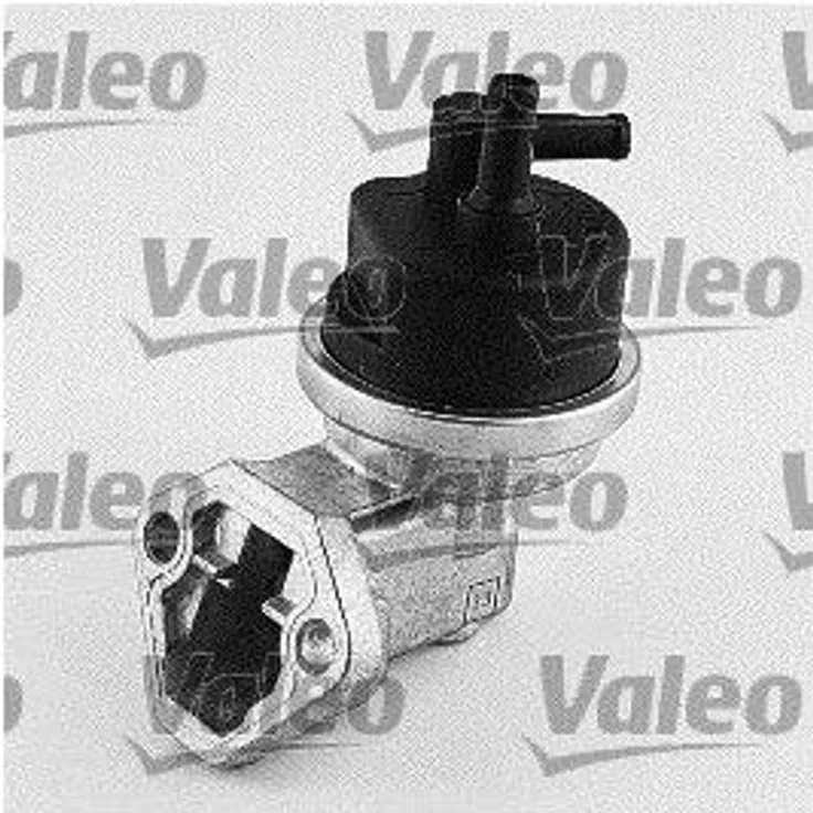 Valeo Kraftstoffpumpe 4319578