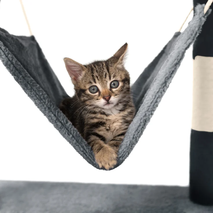 tectake Kratzbaum Stokeley 141cm - grau – Bild 4