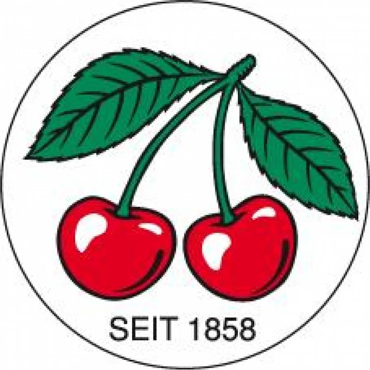 Kirschen 1108000 6-tlg. Stechbeitel-Set, kurze, leichte Beitel, Spezial-Werkzeugstahl, Handgeschmiedet, ±HRc61, Je 1x 6,10,12,16,20,26 mm – Bild 2