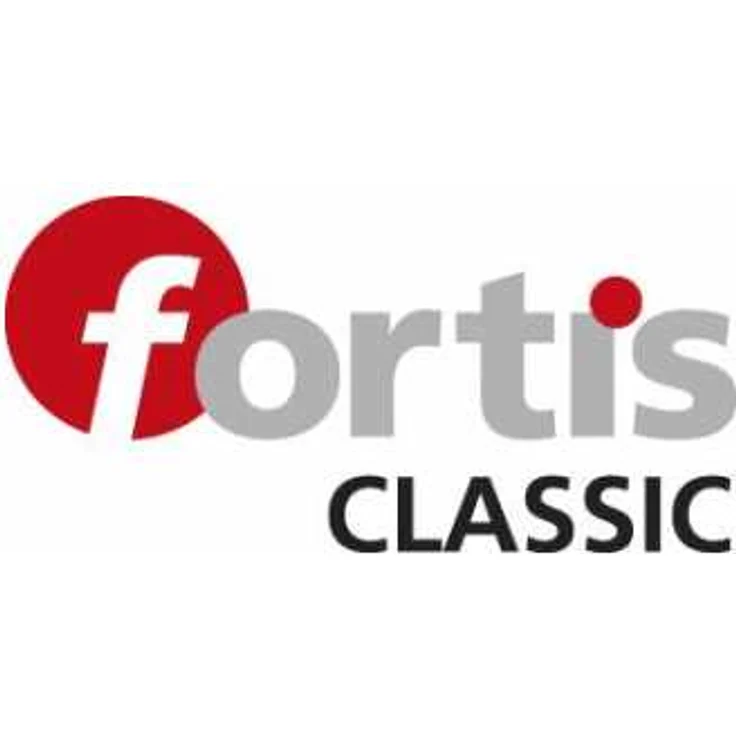 FORTIS Sicherheitsschuh hoch Midgard S1 Gr. 43 (Arbeitsschuh hoch) – Bild 2