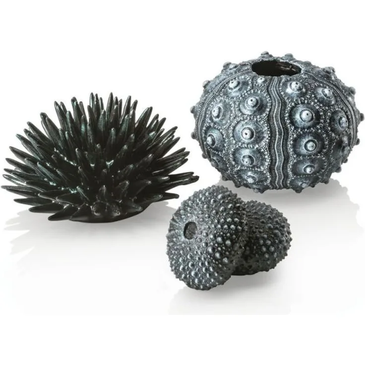 biOrb Seeigel Set schwarz (48365)