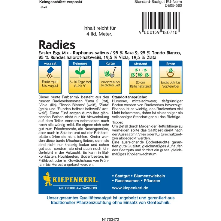 Radieschen Easter Egg Mix, mild-würzige Mischung, platz und schoßfest – Bild 2
