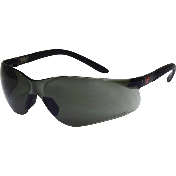 NITRAS Schutzbrille Vision Protect, Für Beruf, Freizeit un