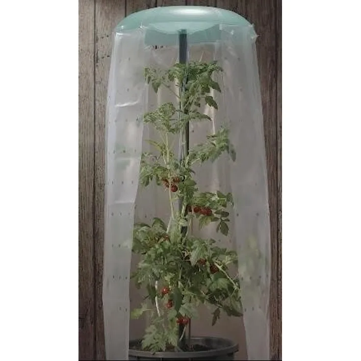 KHW Tomatenhut 2er Set Anzuchthilfe für Tomaten- und Paprikapflanzen - Preisvergleich