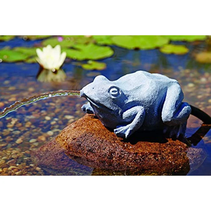 Oase Wasserspeier Frosch – Bild 2