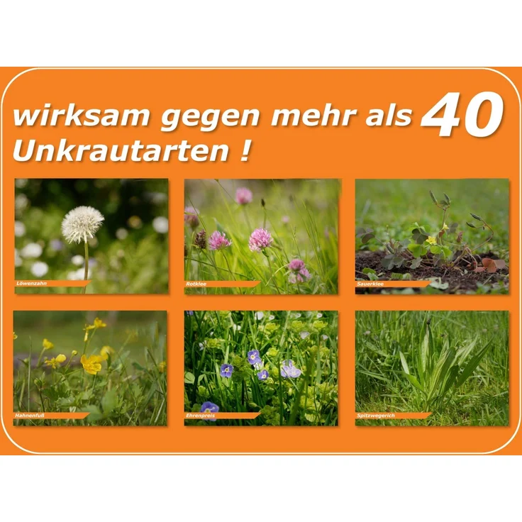 Celaflor Rasen Unkrautfrei Weedex 400 ml Schädlingsbekämpfung, Unkrautvernichter gegen über 40 Unkrautarten, nicht bienengefährlich – Bild 4