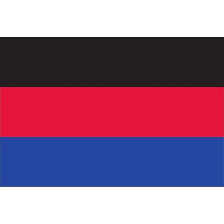 Flagge Ostfriesland 110 g/m² ca. 20 x 30 cm