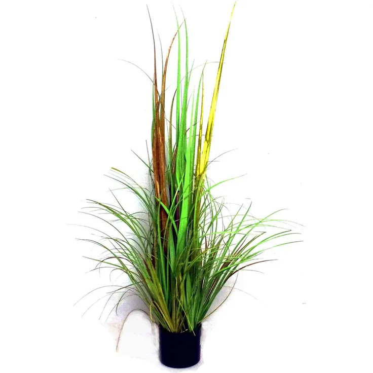 Dekogras Ziergras grün im Topf 123cm Dekopflanze Wildgras Gräser Gras