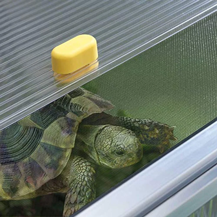 Schildkrötenhaus PAULA – Bild 5