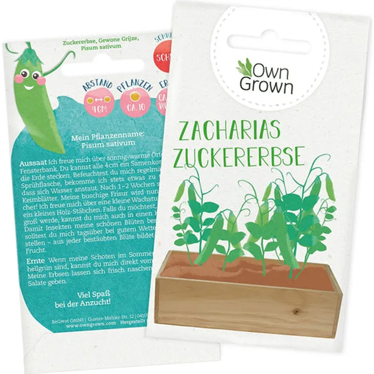 Balkon Tomaten Samen Tomatensamen Für Kinder Und Erwachsene Gemüse Samen Für Ca: Zuckererbse Zacharias