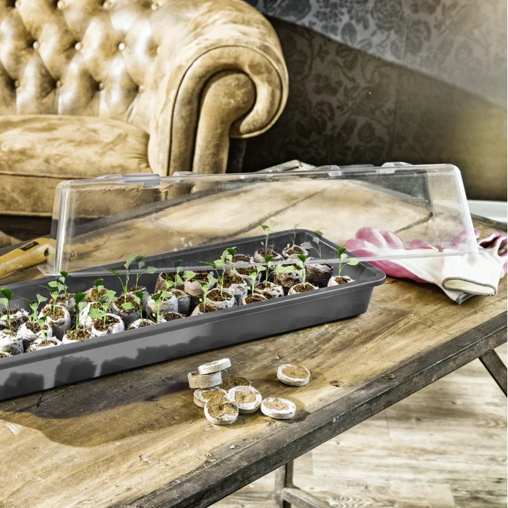 Windhager Haube für Aussaatschale 59 x 19 x 13 cm, transparent – Bild 3