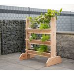 Westmann Kräuterregal natur 50x80x95 cm