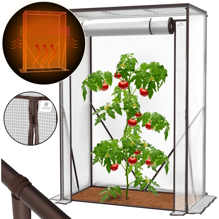 KESSER Premium Tomatengewächshaus Foliengewächshaus, Gewächshaus klein, Tomatenhaus, Treibhaus mit Tür zum Aufrollen - 100 x 50 x 150 cm Frühbeet, Gemüse, Blumen, Obst, Garten Transparent, 100 x 50 x 150 cm - Preisvergleich – Bild 1