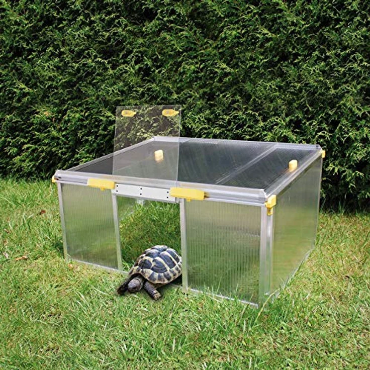 Schildkrötenhaus PAULA – Bild 4