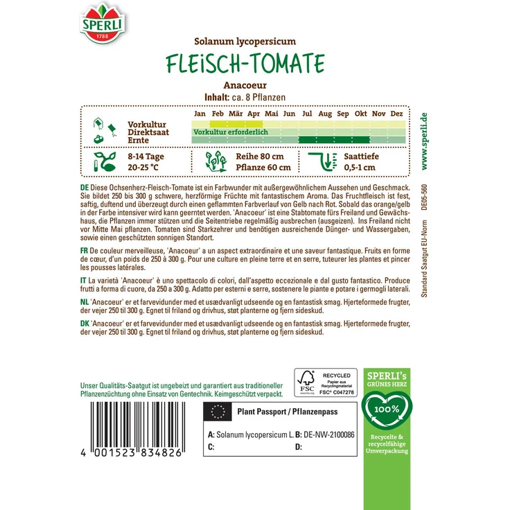 Fleischtomate Anacoeur – Bild 2