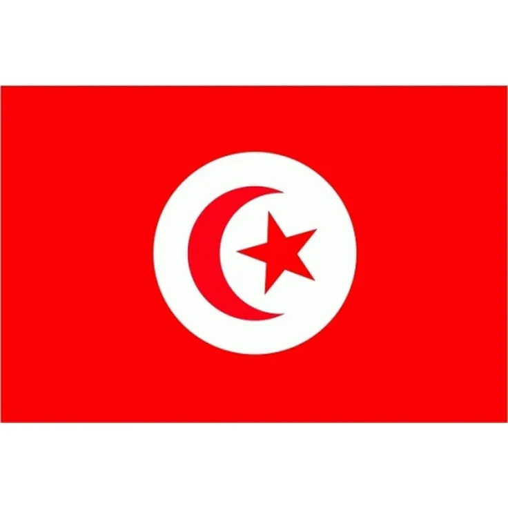 trends4cents XXL Flagge Tunesien 250 x 150 cm