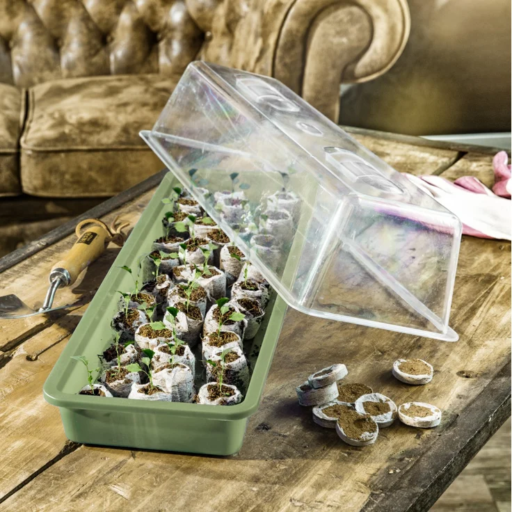 Windhager Haube für Aussaatschale 59 x 19 x 13 cm, transparent – Bild 1