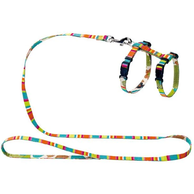 Welpen- & Katzengarnitur Stripes, grün – Bild 1