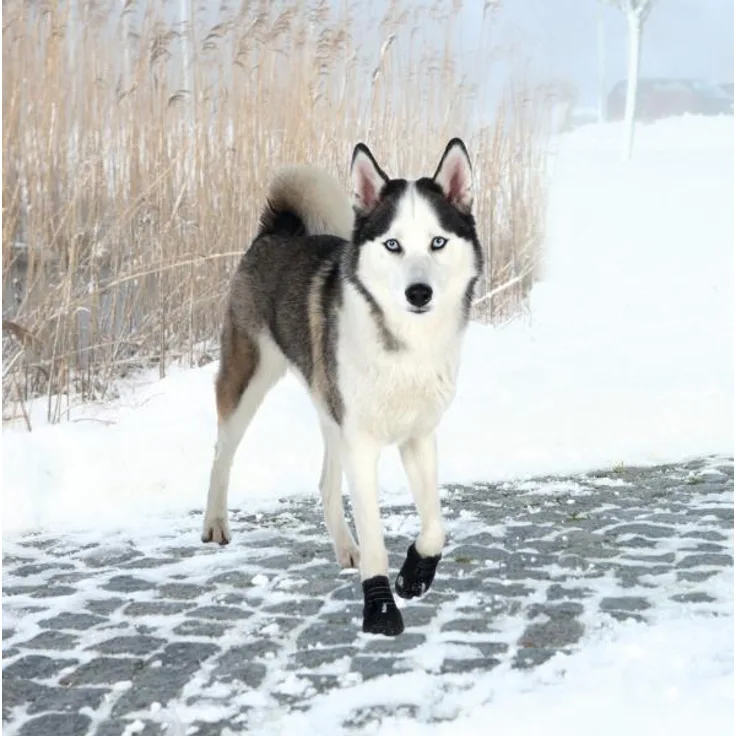 Trixie Pfotenschutz Walker Active 2 Stück schwarz L